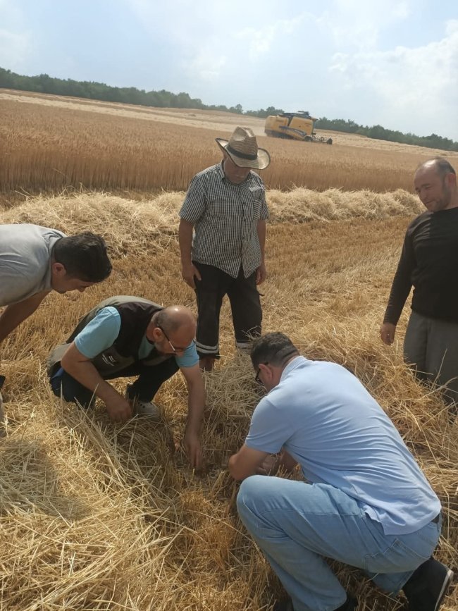 Afyonkarahisar'da Biçerdöver Olanlar Bu Haber Size