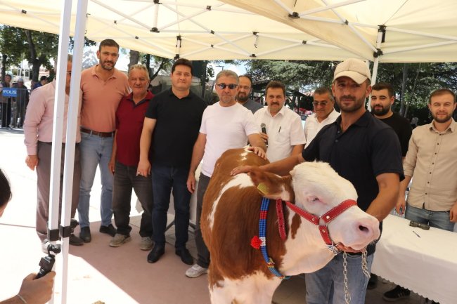 Bolvadin'de Kaymak ve Lezzet Yarışmaları Başlıyor