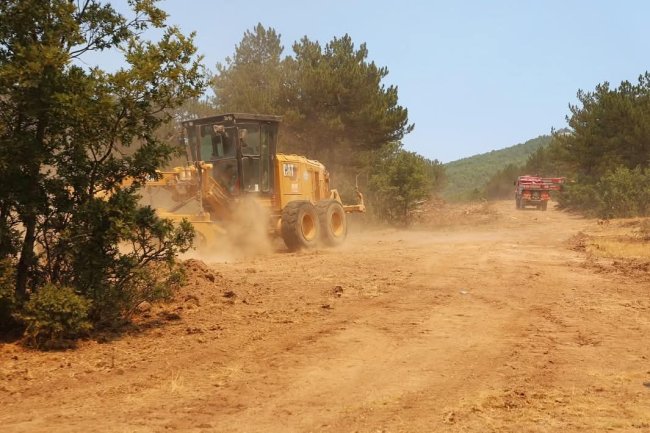 Afyonkarahisar Valisi Yiğitbaşı Yangını Olay Yerinde Değerlendirdi