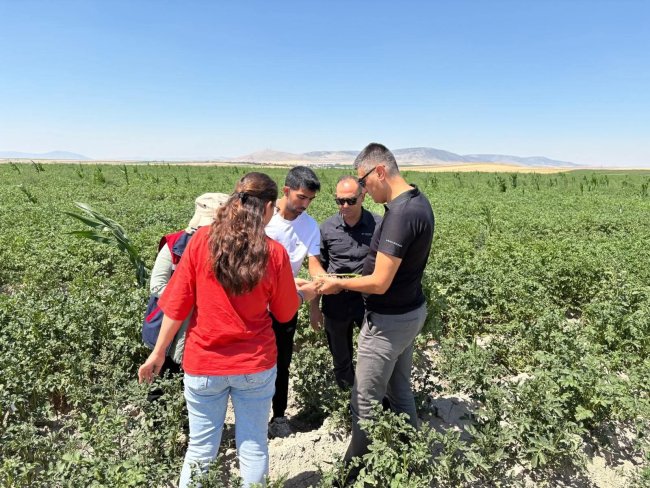 Afyonkarahisar Tarımında Kritik Mücadele Başladı