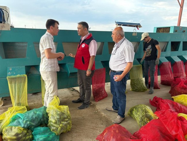 Kornişon Salatalığı Deme! Afyon'dan Polonya’ya 300 Ton İhracat