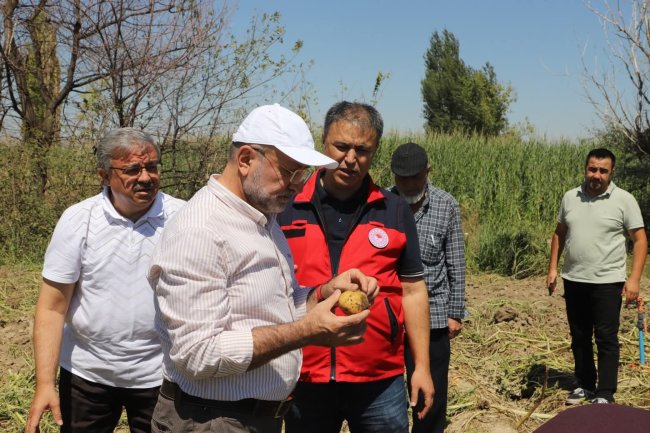 Afyon Nuribey'de Dolu Felaketi Çiftçiyi Vurdu