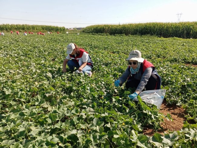 Afyonkarahisar'da Numune Alıp Laboratuvara Gönderdiler
