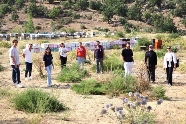 Afyon'da Arı Kovanına Girdiler Adına Eğitim Dediler