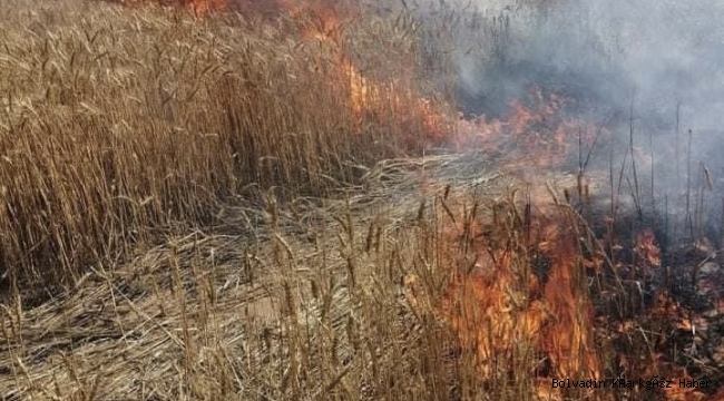 GEÇMİŞ OLSUN DİŞLİ! EKİN YANGINI KORKUTTU