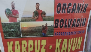 İLÇEMİZİN YERLİ KAVUNU NAİLLERİN BOSTAN BÜYÜK İLGİ GÖRÜYOR