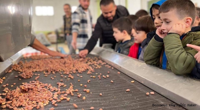 ÇÖZÜM AKADEMI’DEN ODUNCU KURUYEMİŞ FABRİKASINA ZİYARET