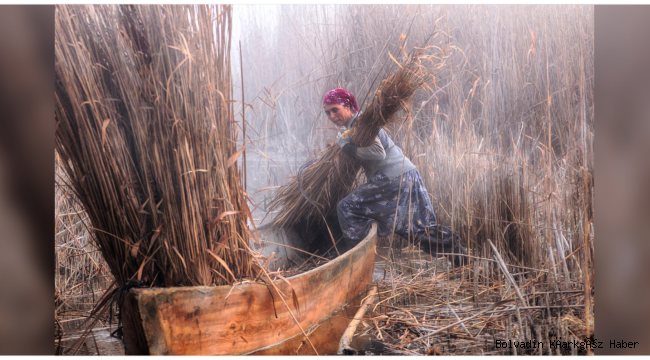 EBER GÖLÜNDE YANGIN ÇIKTI