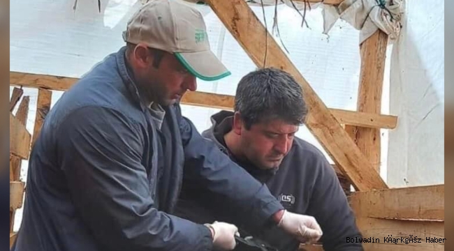 2023 YILI İLKBAHAR AŞILAMA KAMPANYASI DEVAM EDİYOR