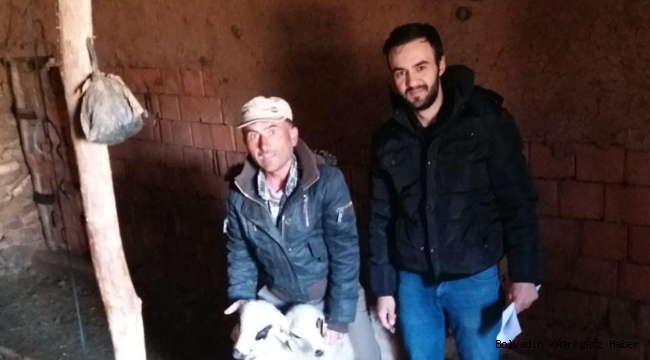 DAĞLIÇ KOYUNU HALK ELİNDE ISLAHI PROJESİ DEVAM EDİYOR