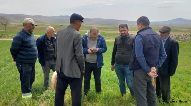 HUBUBAT EKİLİ ALANLARDA ARAZİ KONTROLLER DEVAM EDİYOR
