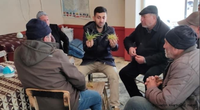 HUBUBAT EKİLİ ALANLARDA ARAZİ KONTROLLERİ YAPILIYOR