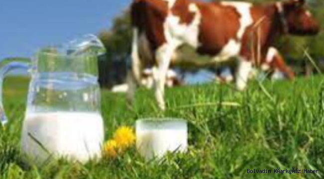 ÇİĞ SÜT DESTEĞİ OCAK-ŞUBAT-MART DÖNEMLERİ LİSTESİ ASKIDA