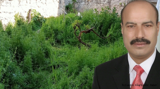 İŞTE HİZMET ADAMI! YILDIZ’IN ÜZERİNE BAHÇIVAN YOK