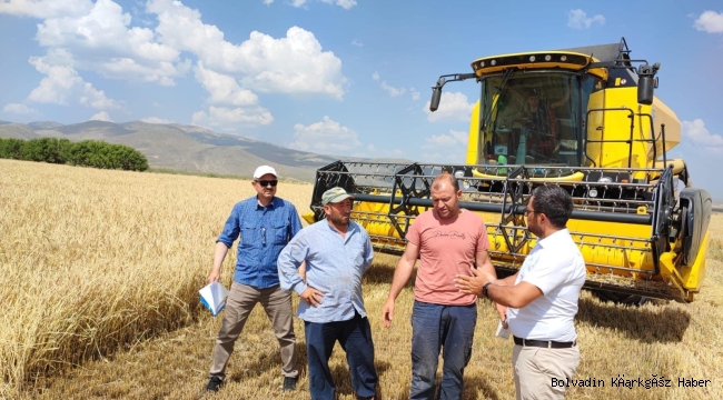 2023 YILI HUBUBAT HASAT DÖNEMİ BAŞLADI