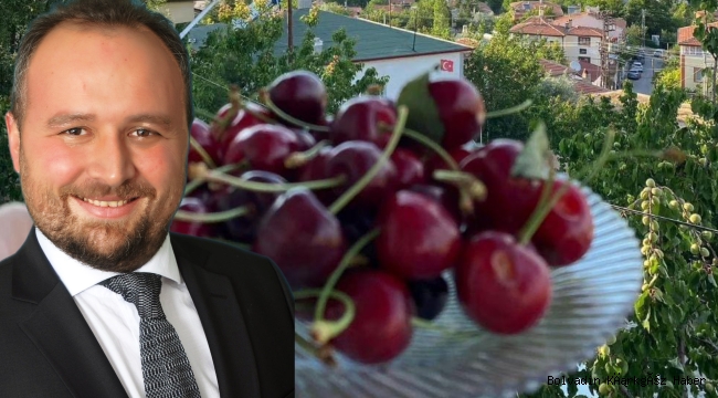 ÇAY ve SULTANDAĞI’NDAN BU YIL 40 BİN TON KİRAZ BEKLENİYOR