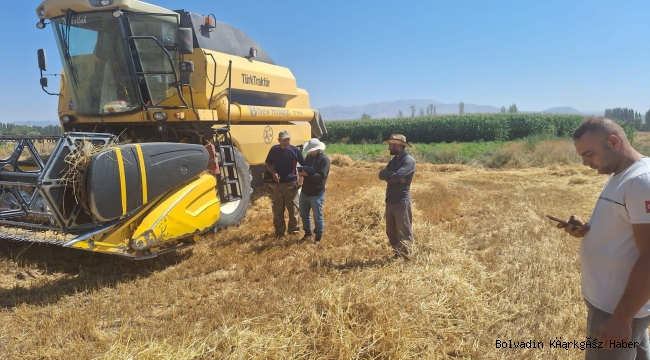 250 BİN DEKARDAN HASAT TOPLANDI