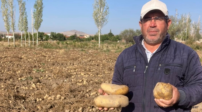 BOLVADİN’DE PATATES HASADINA BAŞLANDI