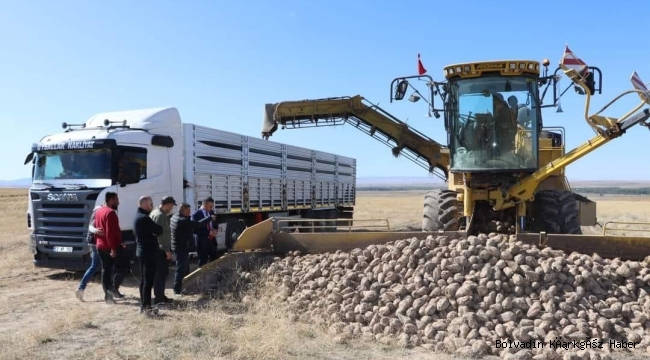 EMİRDAĞ 500.000 TON ŞEKER PANCARI ÜRETİYOR