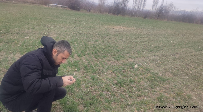 ÇAY’DA BİTKİ ÇIKIŞLARI İZLENDİ