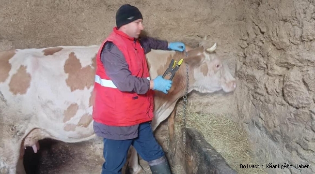 AFYON İL TARIM KONTROLLERİ YAPTI