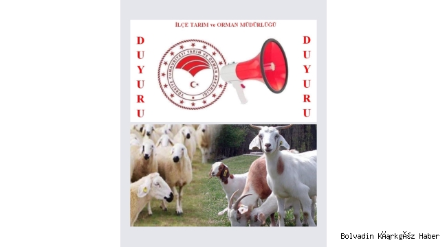 BOLVADİN’DE ANAÇ KOYUN KEÇİ DESTEĞİ LİSTELERİ ASKIDA