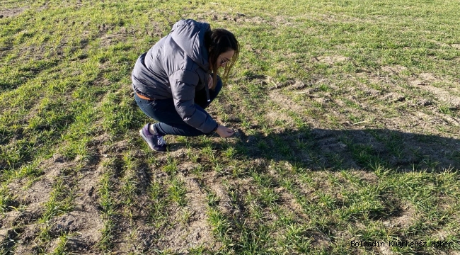 BOLVADİN’DE KONTROLLER YAPILDI
