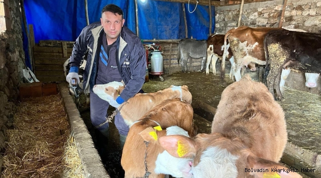 BOLVADİN’DE HAYVANLAR DAHA SAĞLIKLI