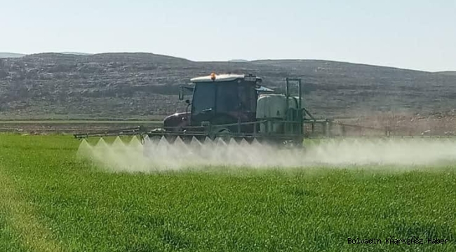 BOLVADİN’DE YABANCI OT MÜCADELESİ