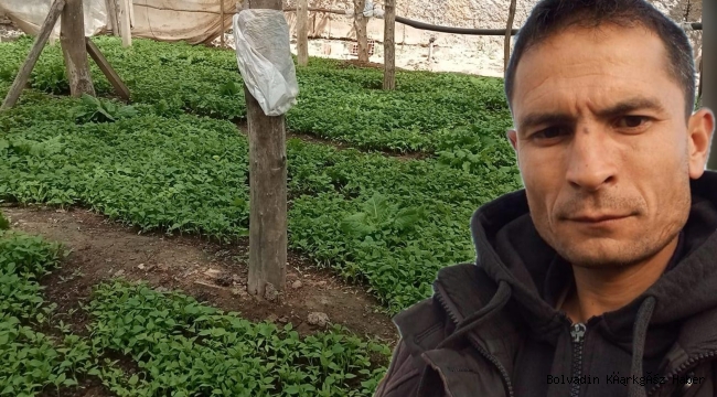 BOLVADİN’DE FİDE SATIŞLARI BAŞLADI