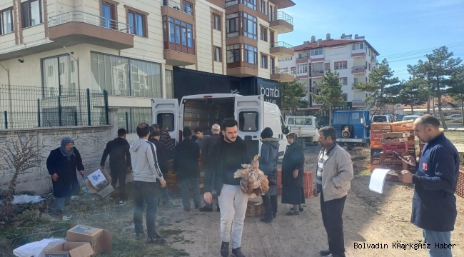 BOLVADİN ZİRAAT ODASI LOHMAN CİNSİ YARKA DAĞITIMI YAPTI