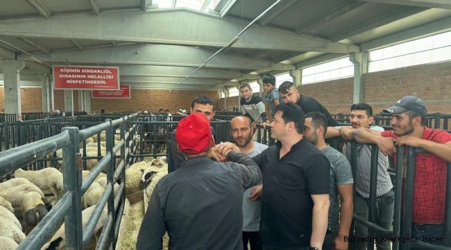 BAŞKAN AYNACI HAYVAN PAZARINI ZİYARET ETTİ