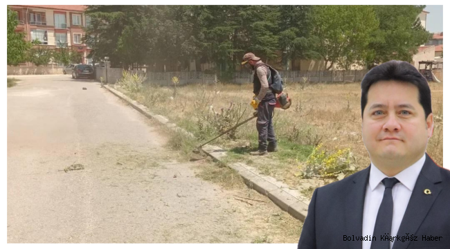 Bolvadin’de Yabani Otlarla Mücadele Ediliyor