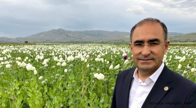 Milletvekili Arslan'dan Hdpli İsme Sert Tepki!