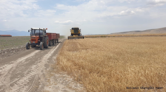 Bolvadin’de Hasat Dönemi Kurak Geçiyor