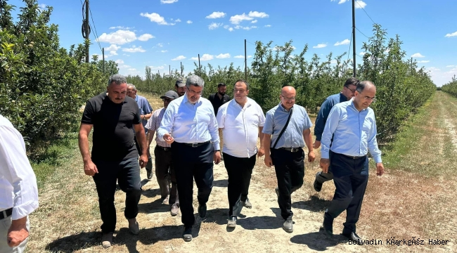 Milletvekili Ali Özkaya Kiraz Üreticileri İle Bir Araya Geldi