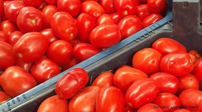 Bolvadin’de Kadınlara Müjde Kilosu 9 Lira