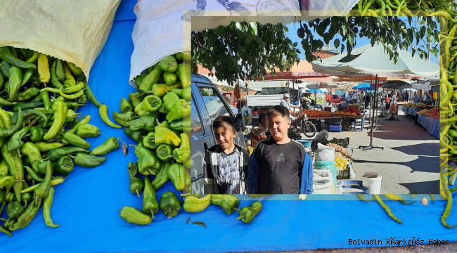 Bolvadin Pazar Pazarı’nda Fiyatlar Nasıl?