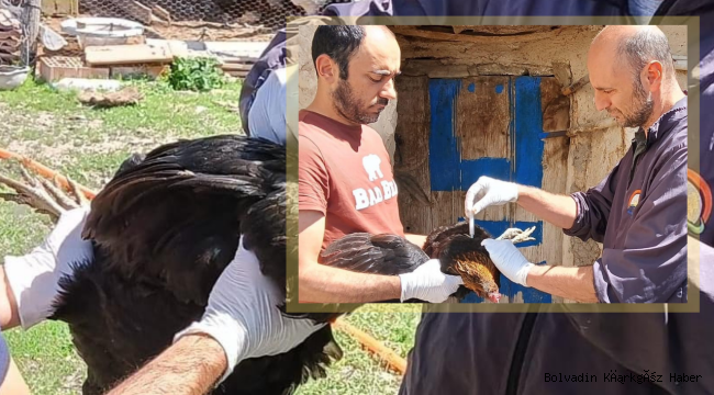 Afyonkarahisar’da Kuş Gribi’ne Karşı Çalışma Başlatıldı