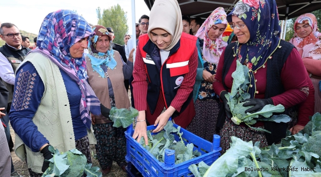 Vali Yiğitbaşı Sinanpaşa’da Brokoli Ekimine Katıldı