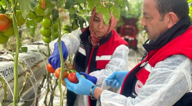 Afyonkarahisar'da Jeotermal Seralarda Bitki Sağlığı Denetimi