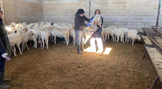 Başmakçı'da Hayvan Sağlığı Çalışmaları Hız Kesmeden Devam Ediyor