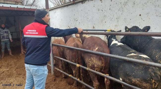 Afyonkarahisar’da 520 Bin Hayvan İthal Edilecek
