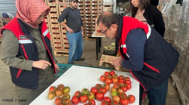 Afyonkarahisar&#039;dan 23 Ülkeye 8.500 Ton Domates İhracatı Yapıldı