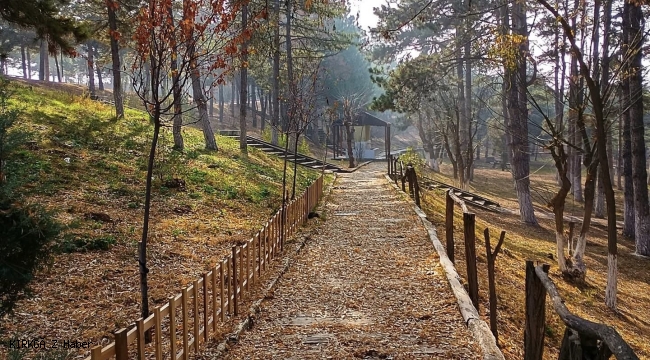 Bolvadin'in Gözdesi Horan Parkı, Görenleri Büyüledi