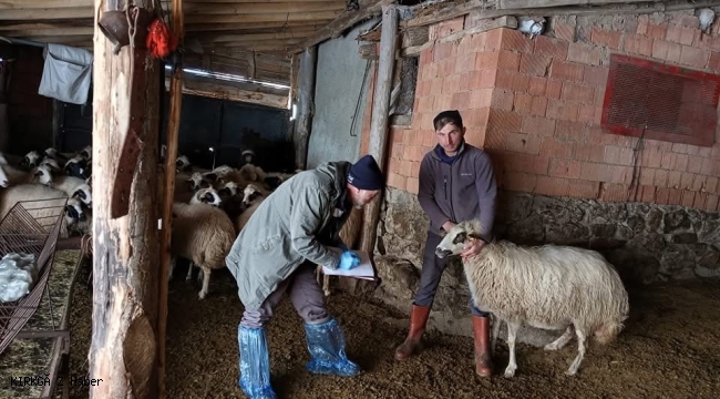 Afyonkarahisar’da Sürü Yöneticisi (Çoban) Desteği Kapsamında Kontroller Gerçekleştirildi