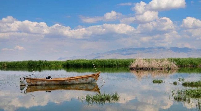 Eber Gölü'nde Yangın Çıkarmaya Çalışan Şahıs Suçüstü Yakalandı
