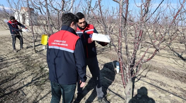 Afyonkarahisar'da 1000'e Yakın Ağaç Kontrol Edildi