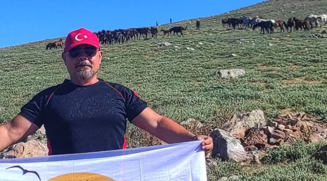 Bolvadin'de Yılki Atları Görüntülendi