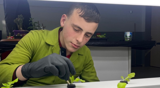 Bolvadin'de Başardılar Bunu Topraksız Fide Ürettiler